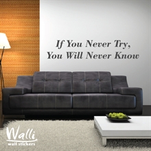 ����� ���� - if you never try you'll never know